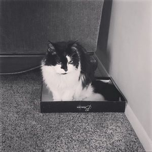 Meet your Posher, Mandy